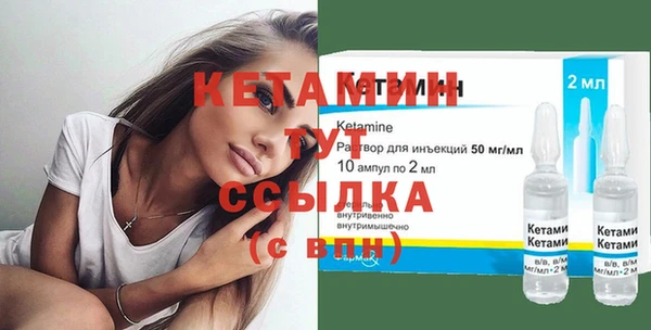 амф Ельня