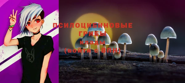 таблы Дмитровск