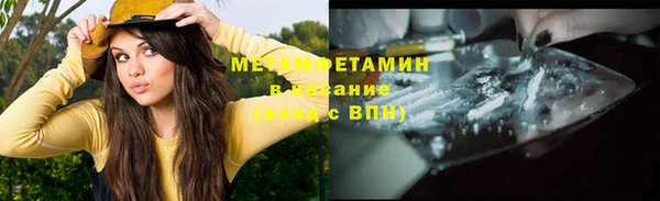 гидра Елабуга