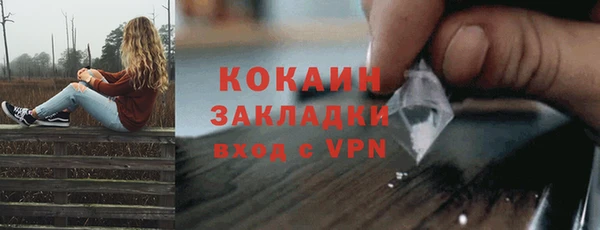 амф Ельня