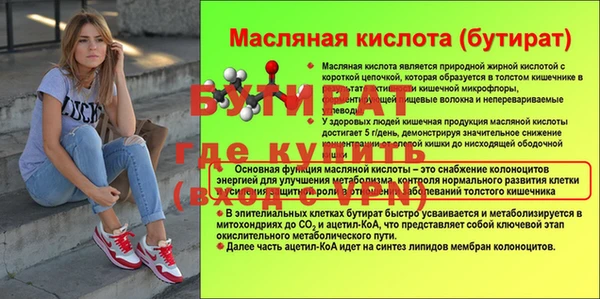 амф Ельня
