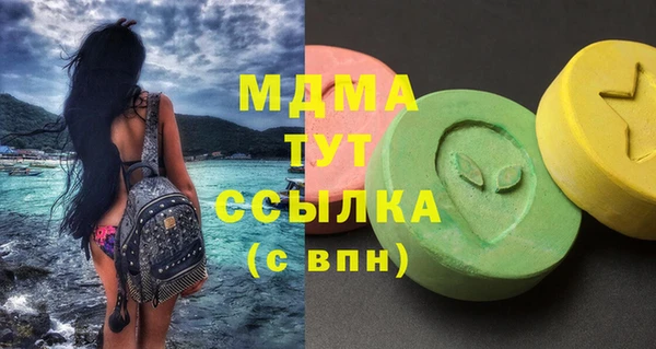 амф Ельня