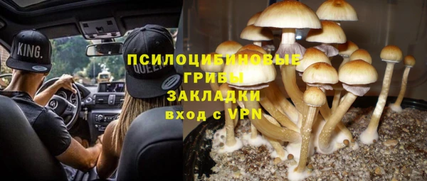 прущие крисы Дмитров