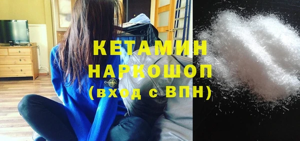 амф Ельня