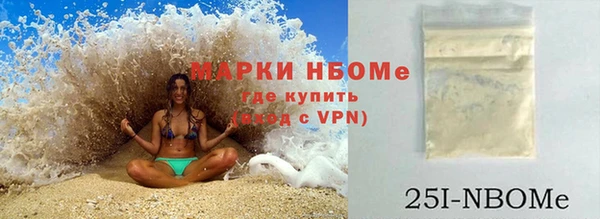 амф Ельня