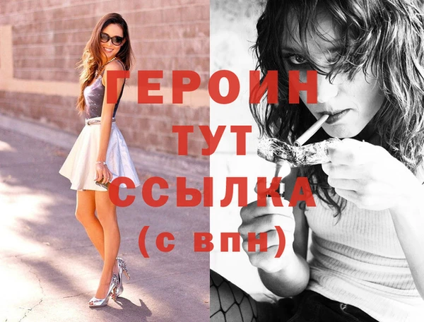 гидра Елабуга