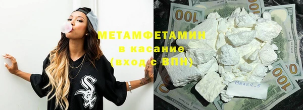 гидра Елабуга